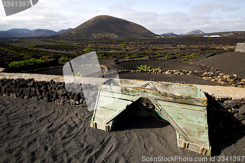 Image of crops viticulture  winery lanzarote spain la geria vine  