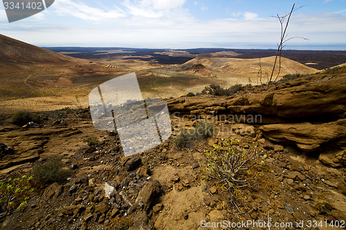 Image of timanfaya sky  hill and summer  lanzarote spain plant flower bus