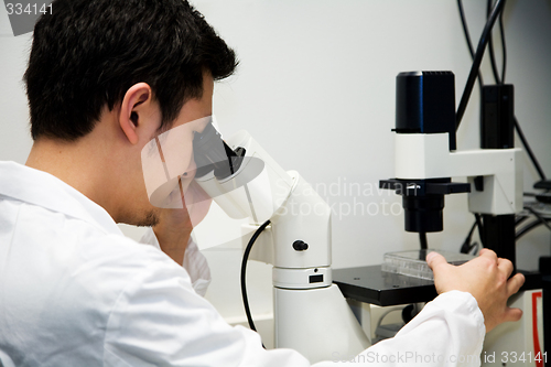 Image of Working scientist