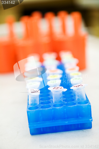 Image of Laboratory samples