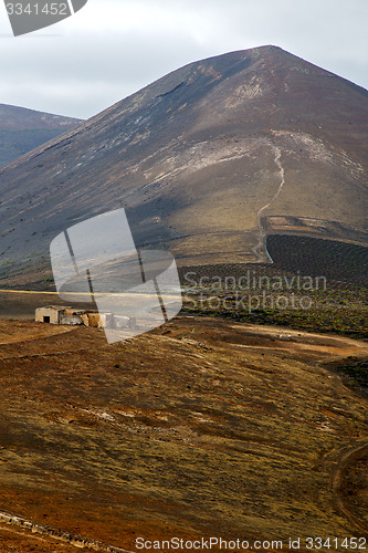 Image of home viticulture    lanzarote  