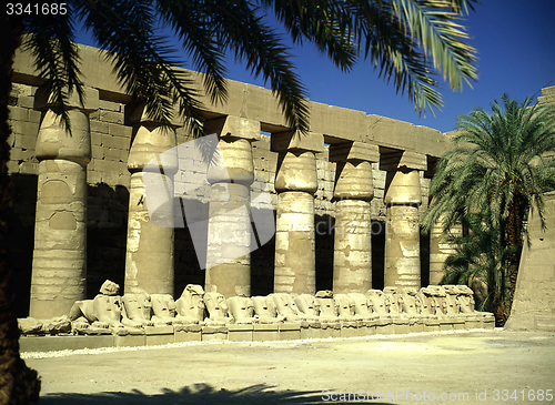 Image of Temple in Luxor