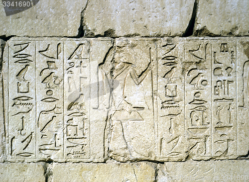Image of Relief in Sakkara,Egypt