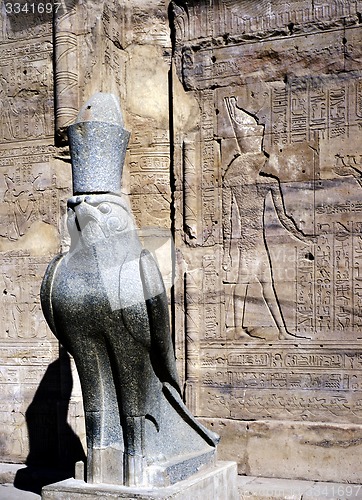 Image of Temple of Horus, Edfu