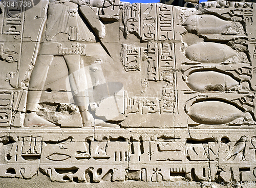 Image of Relief , Luxor