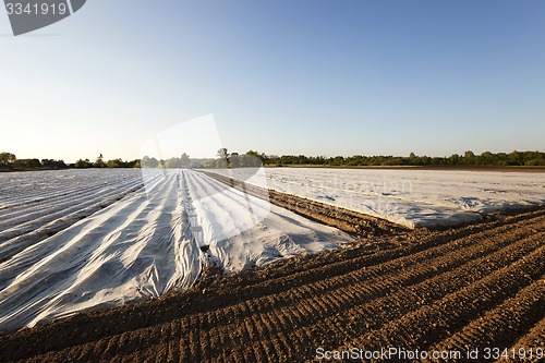 Image of greenhouses in the field  