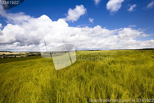 Image of field with cereals  