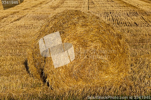 Image of straw stack  