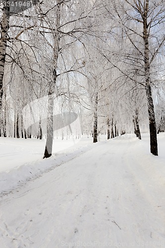 Image of the winter road  