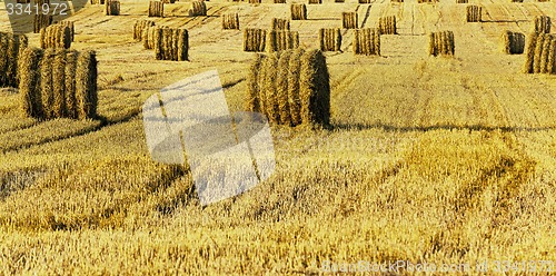 Image of straw stack  