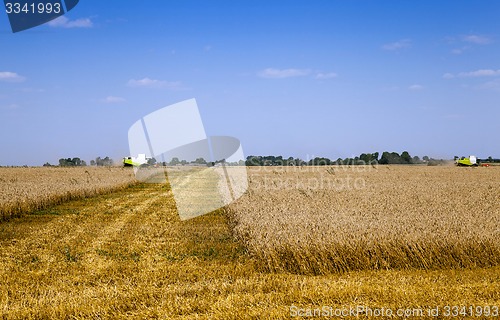 Image of harvesting  