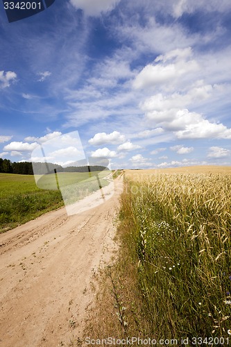 Image of the rural road 