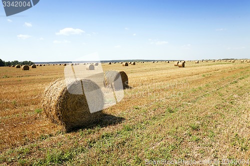 Image of straw stack  