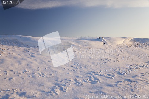 Image of snow-covered field  