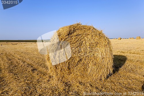 Image of straw stack  