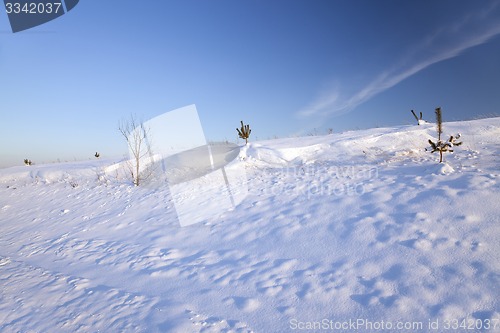 Image of snow-covered field  