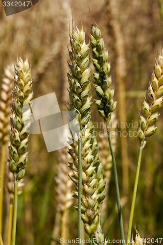 Image of cereals  