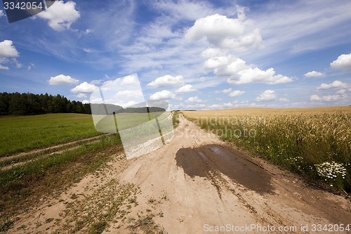 Image of the rural road  