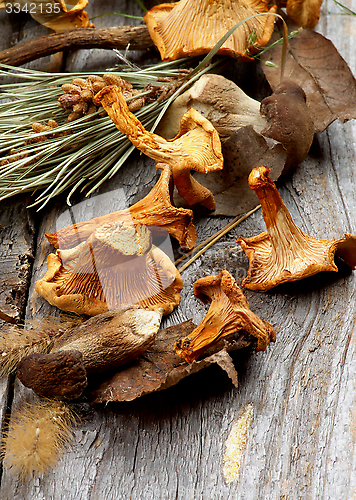 Image of Dried Mushrooms