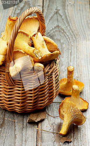 Image of Raw Chanterelles