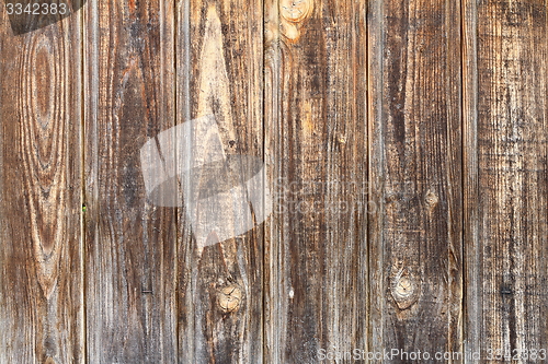 Image of spruce boards fence texture