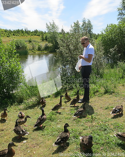 Image of Man feeding ducks