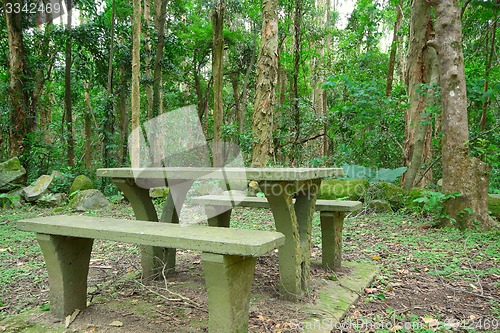 Image of Picnic place in forest
