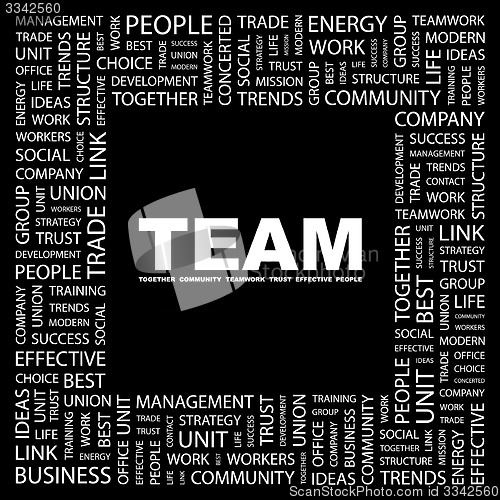 Image of TEAM