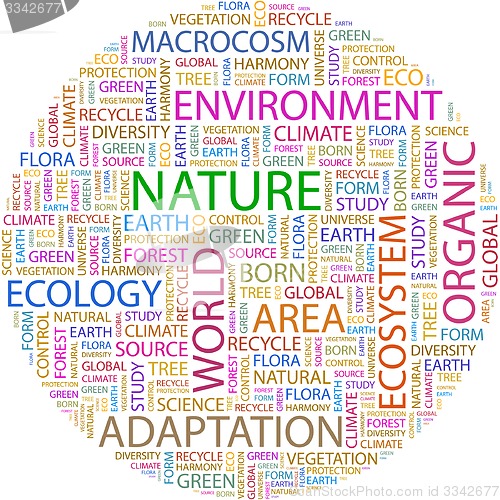 Image of NATURE.
