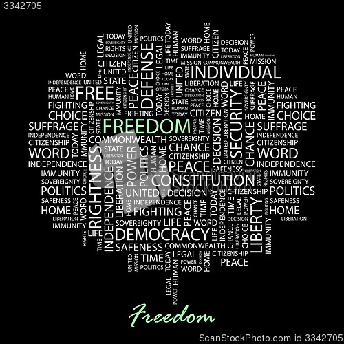 Image of FREEDOM.