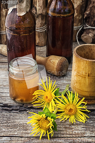 Image of Elecampane tincture