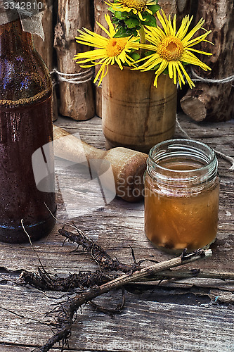 Image of Elecampane tincture