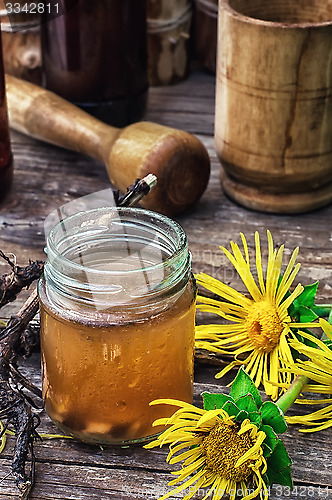 Image of Elecampane tincture