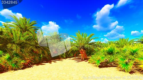 Image of African oasis