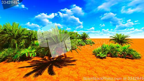 Image of African oasis