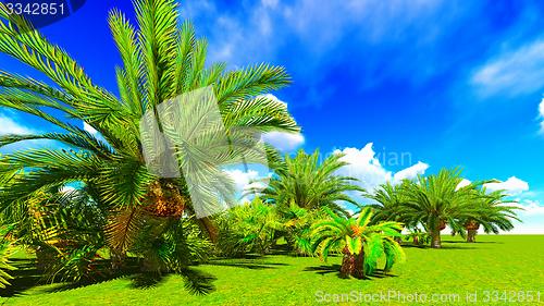 Image of African oasis