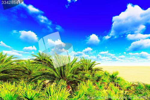 Image of African oasis