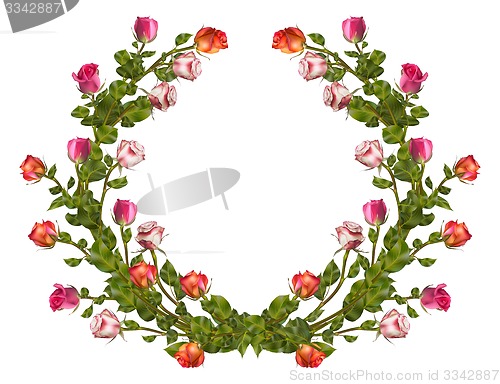 Image of Wreath of roses isolated. EPS 10