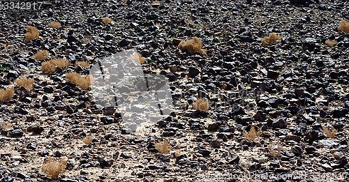 Image of Black stone field in the desert