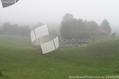 Image of Rural landscape with fog in the morning