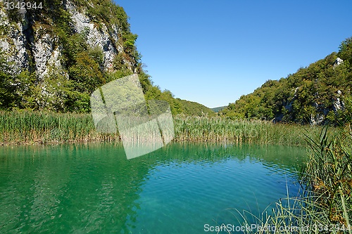 Image of Pond bank landscape in bright summer day in Plitvice, Croatia
