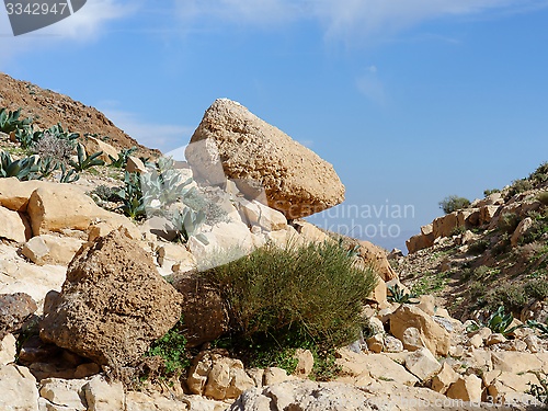 Image of Yellow rock on the hill slope in desert in spring