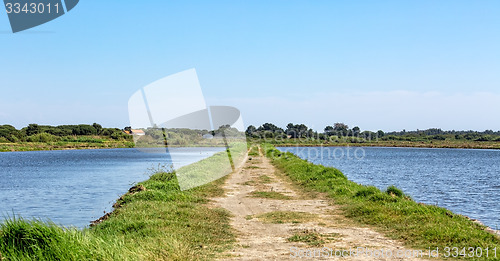 Image of Summer Landscape with Lake and Road