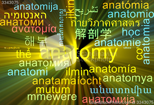 Image of Anatomy multilanguage wordcloud background concept glowing