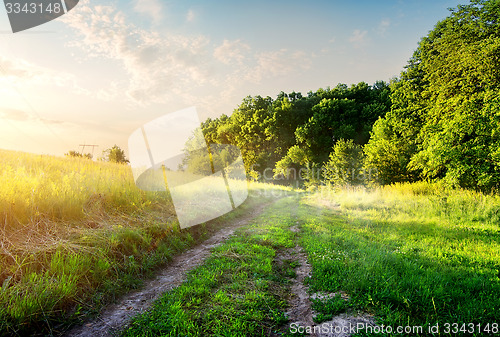 Image of Field with country road