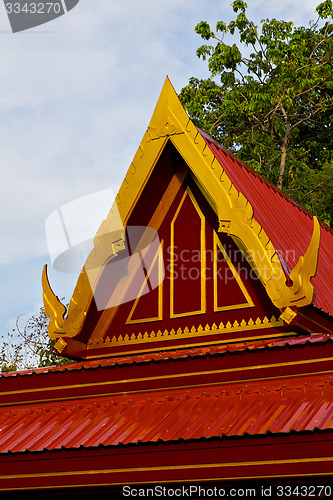 Image of bangkok in the temple  thailand abstract  plant