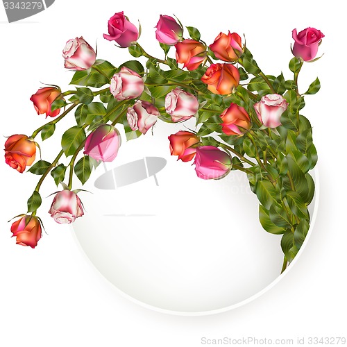 Image of Greeting card with roses. EPS 10