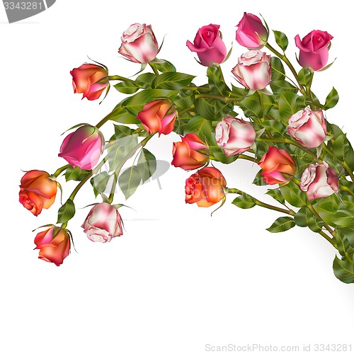 Image of Isolated bouquet roses. EPS 10