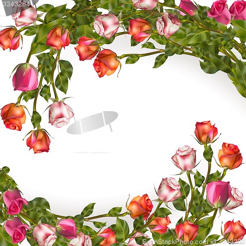 Image of Roses garland isolated on white. EPS 10