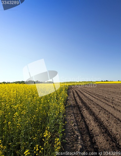 Image of agriculture 